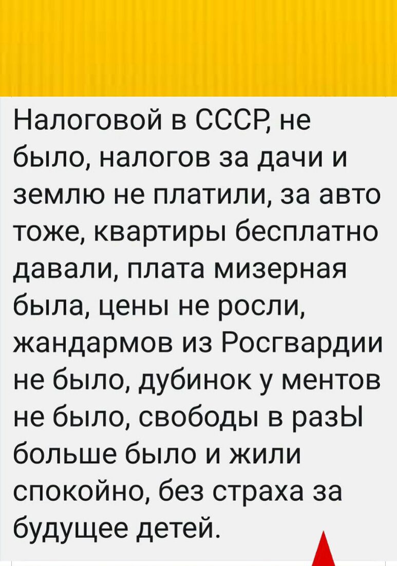 Налоговой в СССР не было налогов за дачи и землю не платили за авто тоже квартиры бесплатно давали плата мизерная была цены не росли жандармов из Росгвардии не было дубинок у ментов не было свободы в разЫ больше было и жили спокойно без страха за будущее детей А