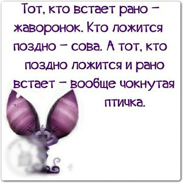 Тот кто встает рано жаворонок Кто ложится поздно сова А тот кто поздно ложится и рано встает вообще чокнутая птичка