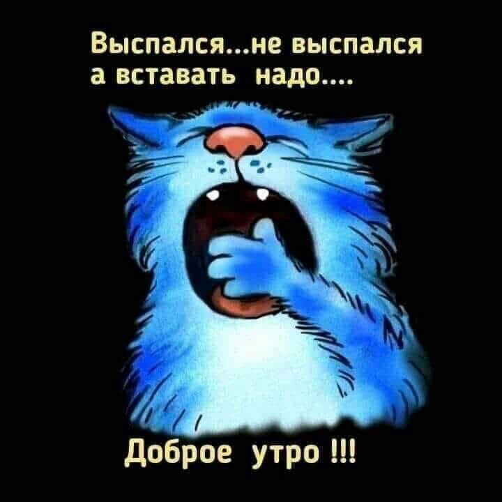 ВЬСП8ЛСЯНЕ ВЫСПЗЛСЯ а вставать надо т ч и дбброе утро