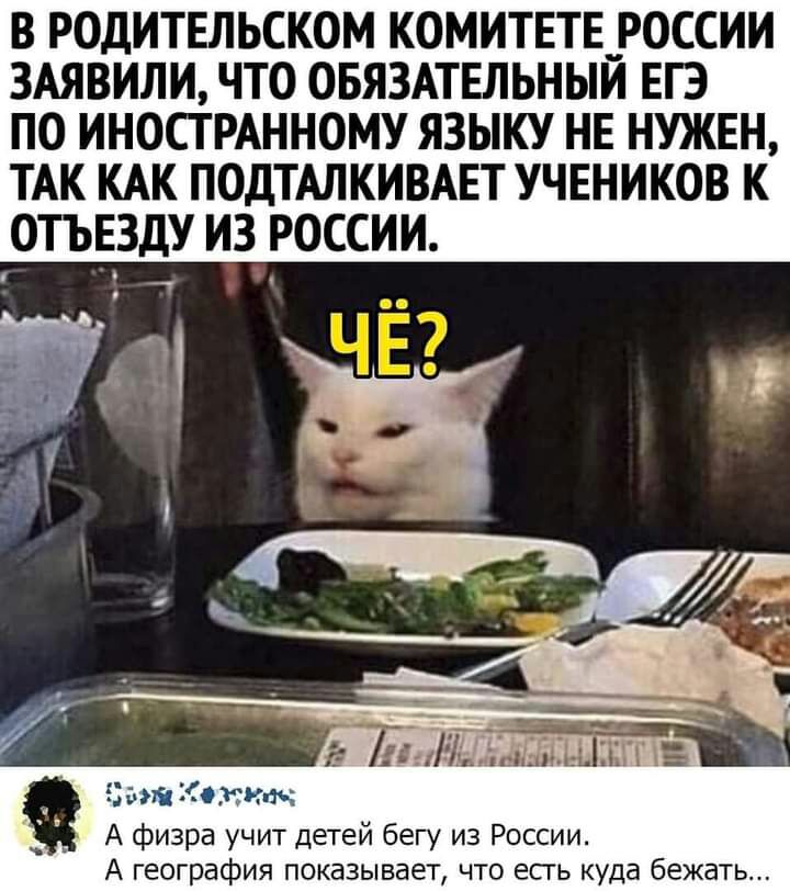 В РОДИТЕЛЬСКОМ КОМИТЕТЕ __РОССИИ ЗАЯВИЛИ ЧТО ОБЯЗАТЕЛЬНЫЙ ЕГЭ ПО ИНОСТРАННОМУ ЯЗЫКУ НЕ НУЖЕН ТАК КАК ПОДТАЛКИВАЕТ УЧЕНИКОВ К ОТЪЕЗДУ ИЗ РОССИИ А физра учит детей бегу из России А география показывает что есгь куда бежать