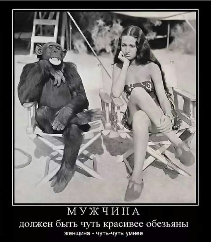 МУЖЧИНА ДОЛЖСН бЬ1ТЬ ЧУТЬ красивее обезьяны женщина чуть чуть умнее