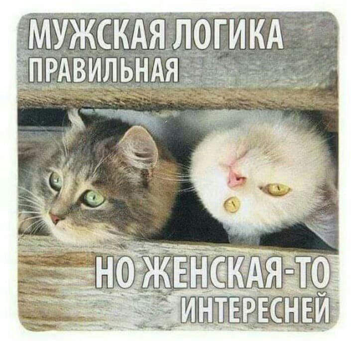 МУЖСКАЯ ЛОГИ КА