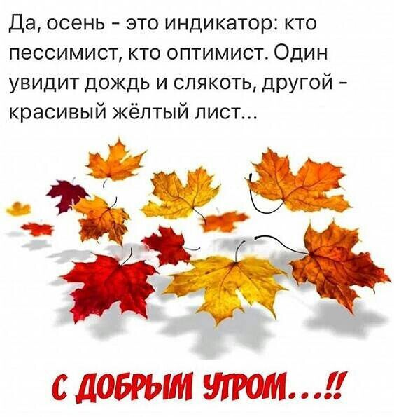 Да осень это индикатор кто пессимист кто оптимист Один увидит дождь и слякоть другой красивый жёлтый лист С ЛОБРЫМ