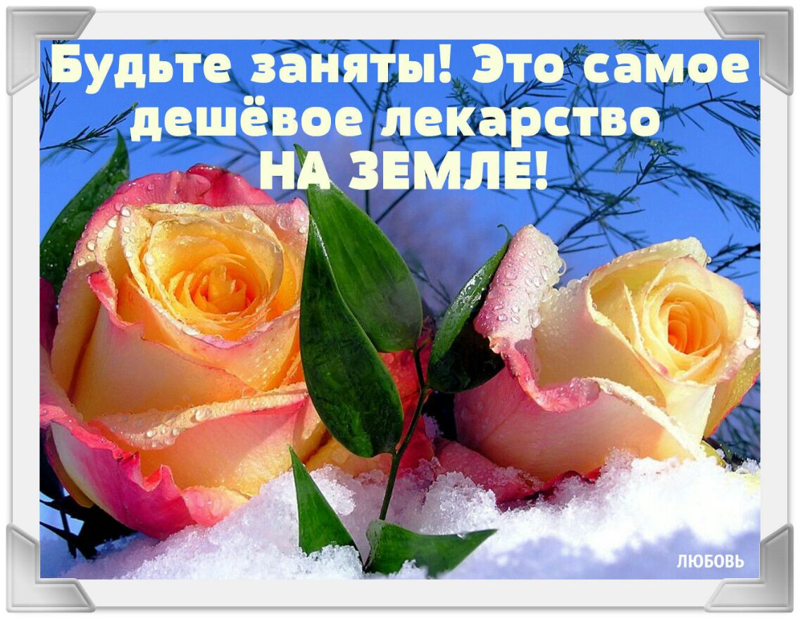 7 _ Будьте заняты Это самое дешёвое лекарство АЗЕМЛЕ