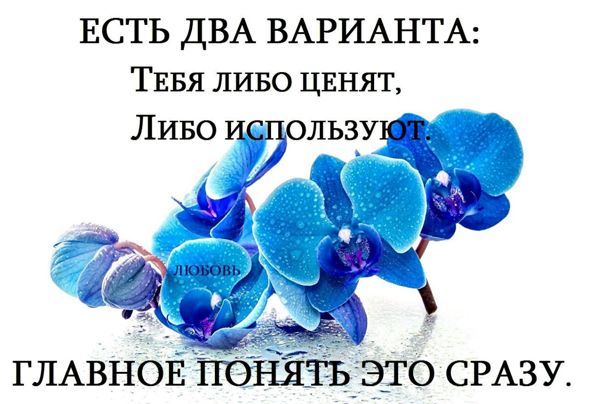 ЕСТЬ ДВА ВАРИАНТА ТЕБЯ ЛИБО ЦЕНЯТ ЛИБО исцользуют ГЛАВНОЕ ПОНЯТЬ ЭТО СРАЗУ