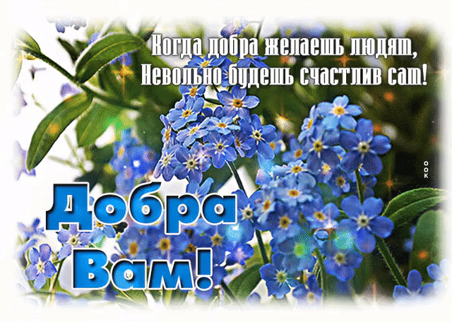 вмещать щит ешьсніштшш ваш