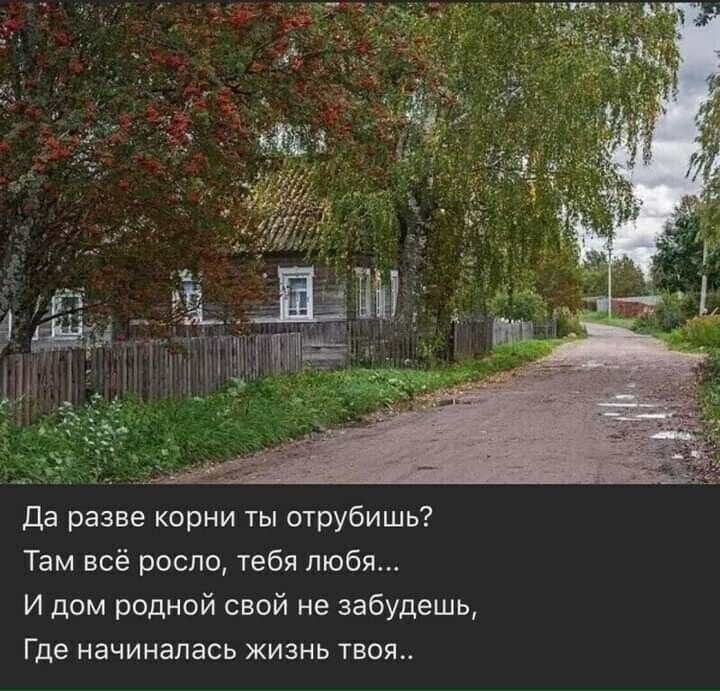 да разве корни ты отрубишь Там всё росло тебя любя И дом родной свой не забудешь Где начиналась жизнь твоя