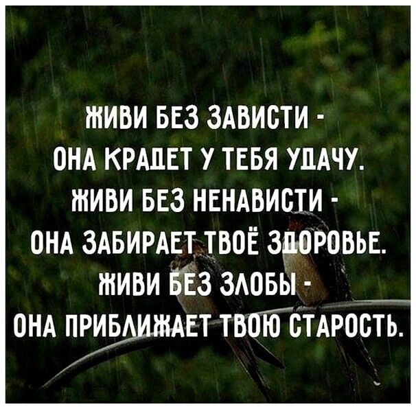ЖИВИ БЕЗ ЗАВИБТИ ОНА КРАПЕТ У ТЕБЯ УПАЧУ ШИБИ БЕЗ НЕНАБИЩИ онд здвирдшвоё здоровье тиви БЁз зАовы онд прив ЕТ твоюТспрость