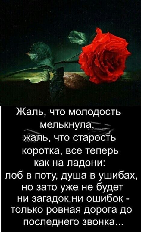 Жаль что молодость мепькнупаг__ _ жаль что старость коротка все теперь как на ладони лоб в поту душа в ушибах но зато уже не будет ни загадокни ошибок только ровная дорога до ПОСПЗДНЭГО ЗВОНКЭ