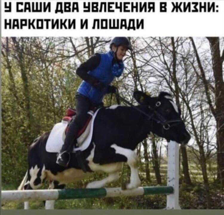 СПШИ дВд НВПЕЧЕНИЯ В ЖИЗНИ НПРКПТИКИ И ППШПДИ уд
