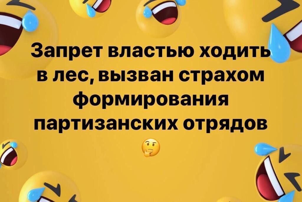 го Запрет властью ходить в лес вызван страхом формирования партизанских отрядов З