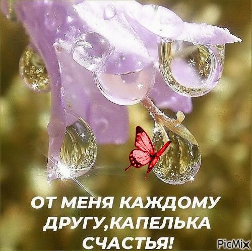 М Я КАКДОМУ Ё ДРУГ УКАПЕЛЬКА СЧАСТЬЯ