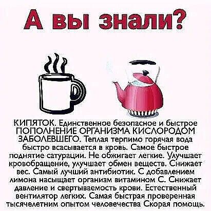 А вы знали КИПЯТОК ЕАинпвеннпе безопасное и быт ое ПОПОАНЕНИЕ ОРГАНИЗМА КИСАОРОА М ЗАБОАЕВШЕГО Тепдая терпимо гпрячая вода бысгро всасывается а к онь Самое быстрое поАнягие саграции Не о жигает Аегкие УАучшает кроной ащение удучшает обмен веществ Снижает вес змый АуЧШИЙ антибиатик с АобавАением Аимснз насыщает прганизм витамином с Снижает заменив и свертываемоств крови Естественный ветидятор Аегки