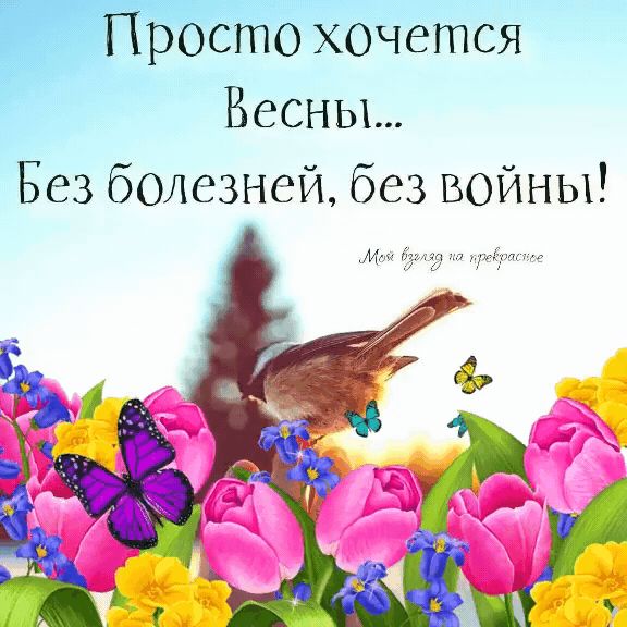 6Ы0Чется Весны Без болезней без войны
