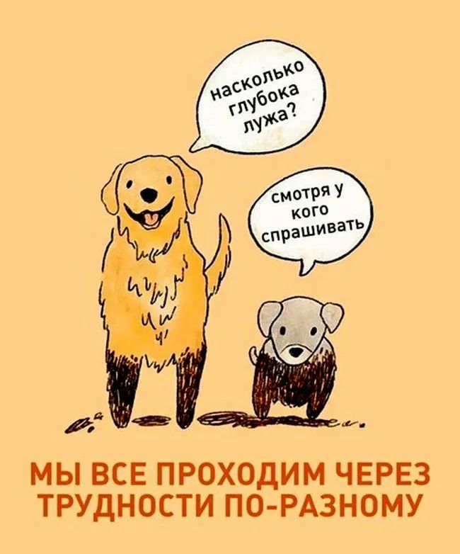МЫ ВСЕ ПРОХОДИМ ЧЕРЕЗ ТРУДНОСТИ ПО РАЗНОМУ