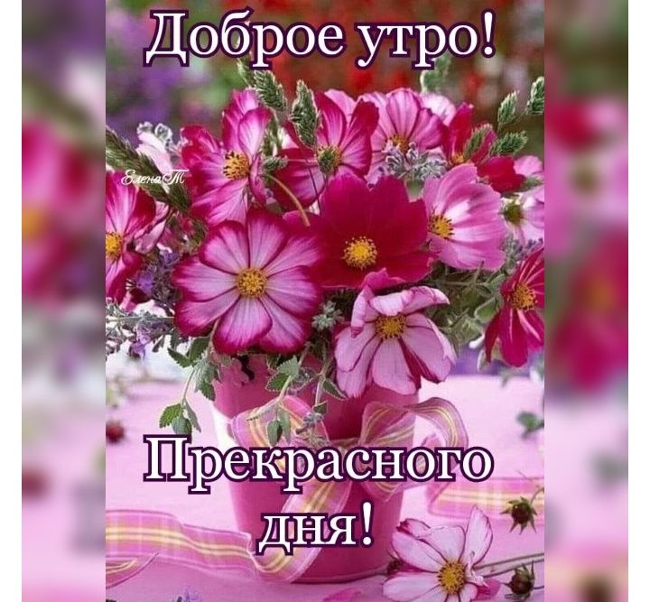 Доброе утро 1