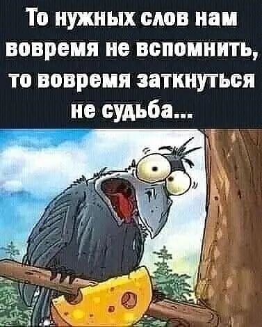 То нужных слов наи вовремя не вспомнить то вовремя заткнуться не судьба