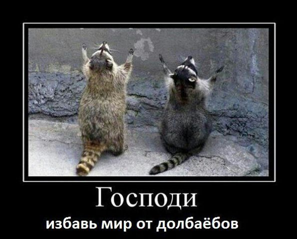 Господи избавь мир от долбаёбов