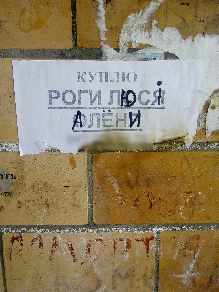 ьздщ