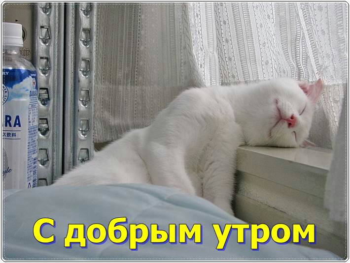 С дЧбрЫМ утром