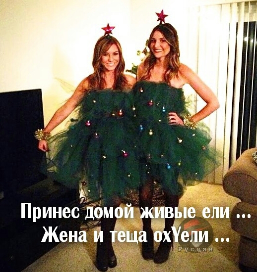 Принес домой живые ели д Жена и Ёеща ох дли