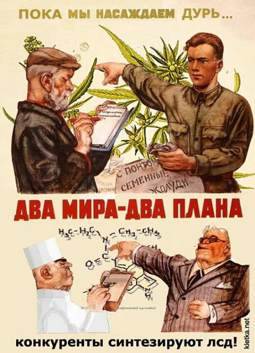 двд ЦШЩА