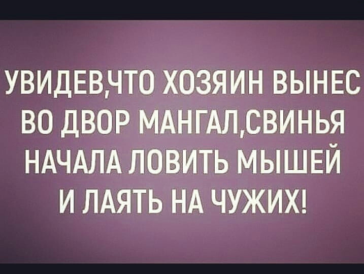 УВИДЕВЧТ0 ХОЗЯИН ВЫНЕС ВО ДВОР МАНГАЛСВИНЬЯ НАЧАЛА ЛОВИТЬ МЫШЕЙ И ЛАЯТЬ НА ЧУЖИХ