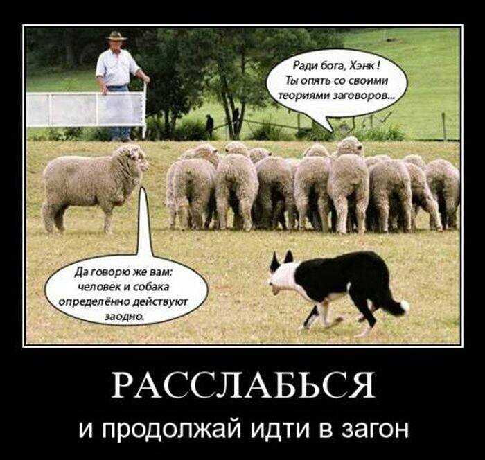 РАССЛАБЬСЯ И ПРОДОЛЖЭЙ ИДТИ В загон