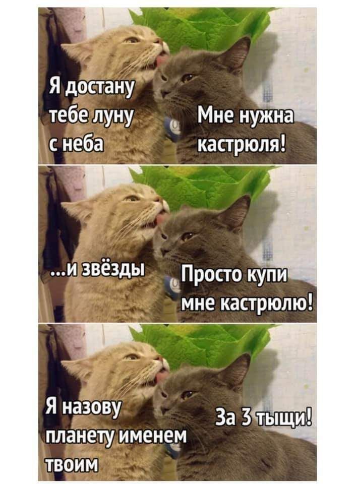Я достану же тебе луну Мне нужна неба кастрюля и звезды Ёпросто купи мне кастрюлю Я назову планету именем твоим За Зтыщи
