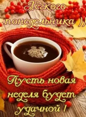 неёя 6