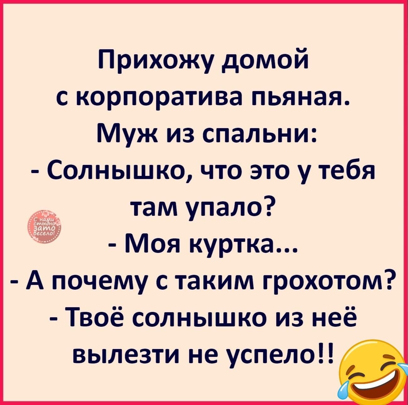 Прихожу домой с корпоратива пьяная Муж из спальни Солнышко что это у тебя там упало Моя куртка А почему с таким грохотом Твоё солнышко из неё