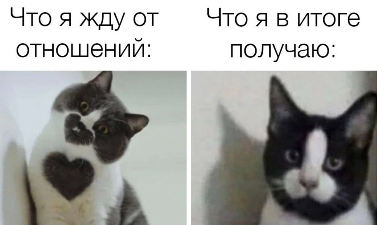 Что Я жду от Что Я в итоге отношений получаю