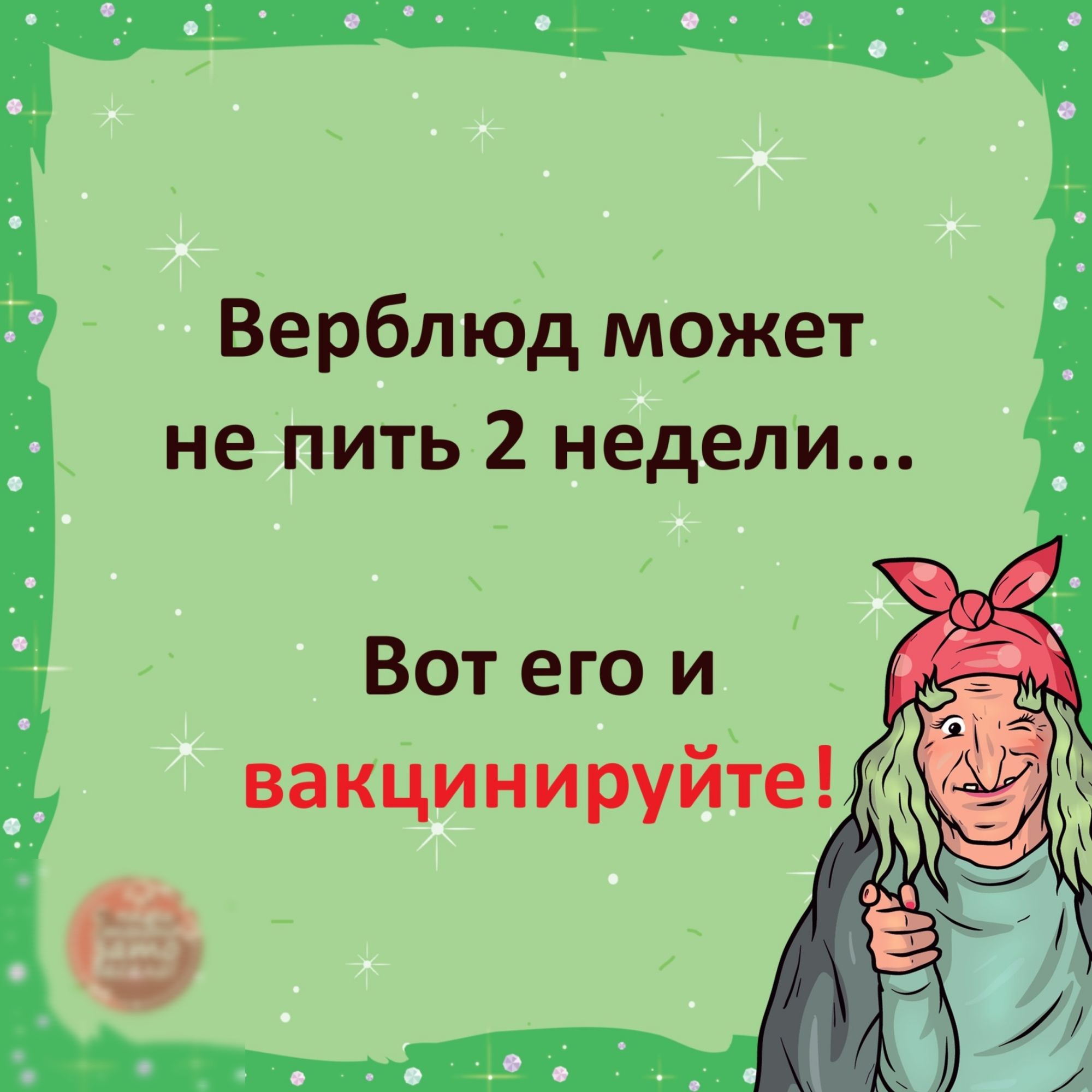 ВерблЮд м9жет не питЬ 2 недели Вот его и вакЦинируйте