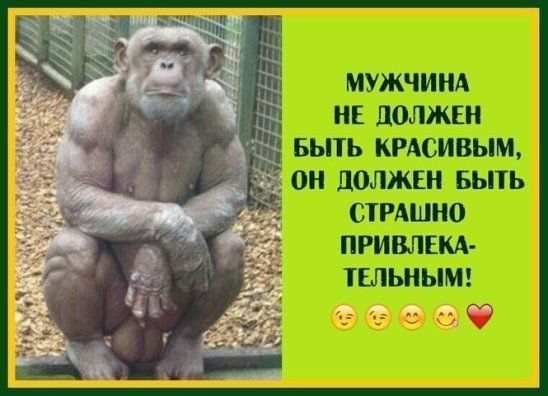 МУЖЧИНА НЕ ЛОЛЖЕН БЫТЬ КРАСИВЫМ Н ЦОЛЖЕН БЫТЬ СТРАШНО ПРИВЛЕКА ТЕЛЬНЫМ к
