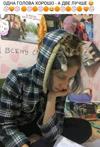 ОДНА ГОЛОВА хорошо _ А ДВЕ ЛУЧШЕ