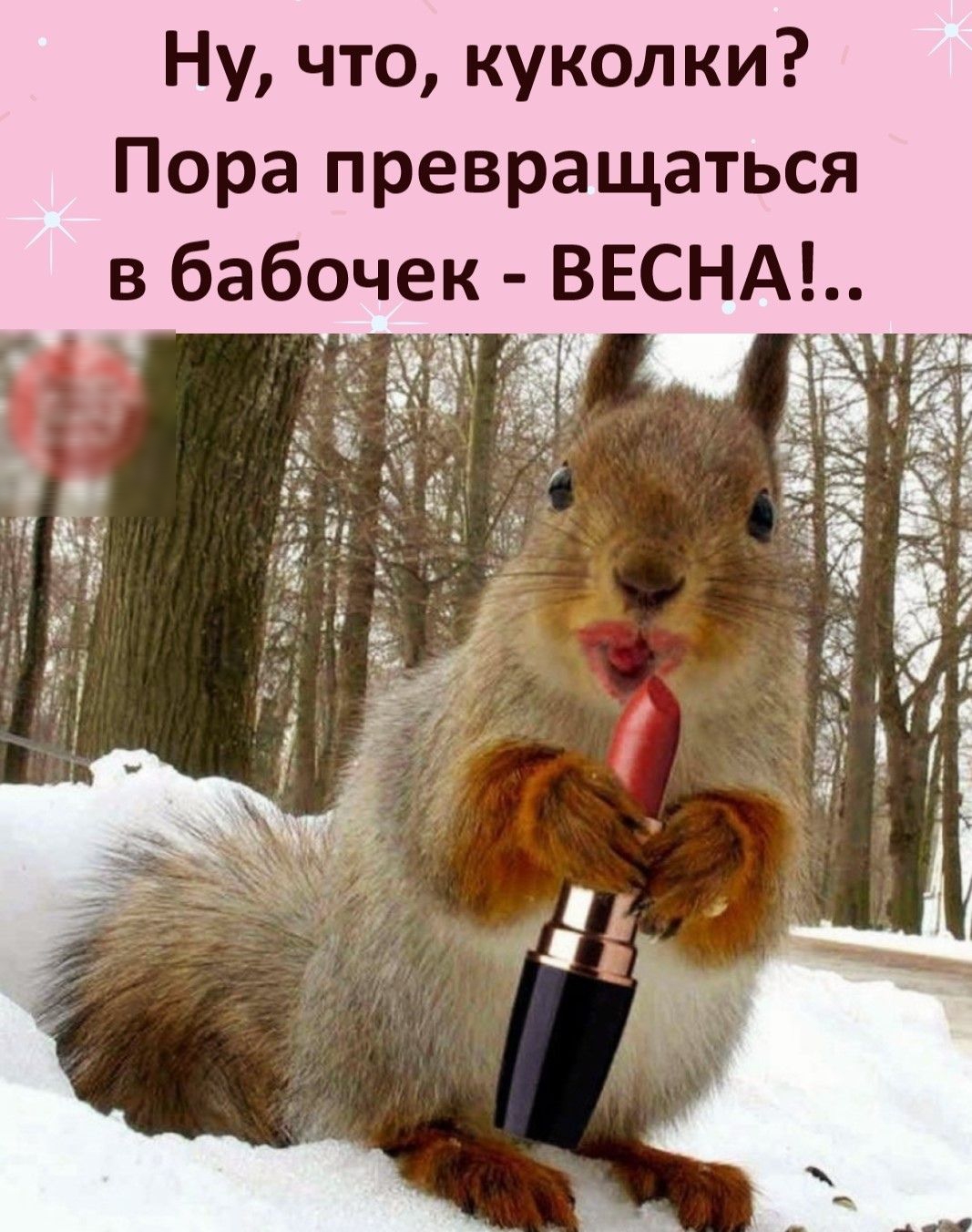 Ну что куколки Пора превращаться ВЕСНА