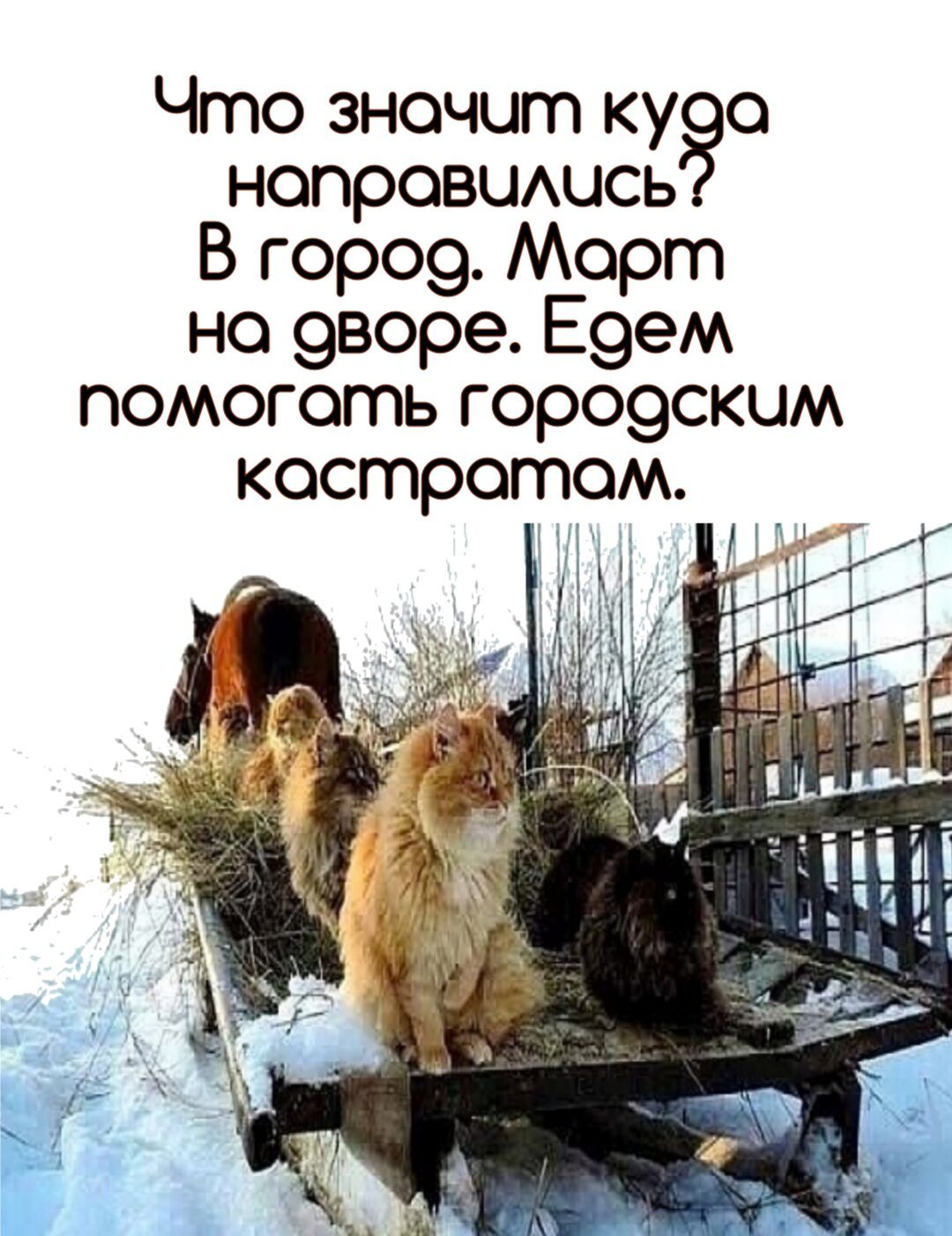 Что значит куго нопровшшсь В горо9 Морт но 9воре Е9ем помогать гор09скцм костротом М _