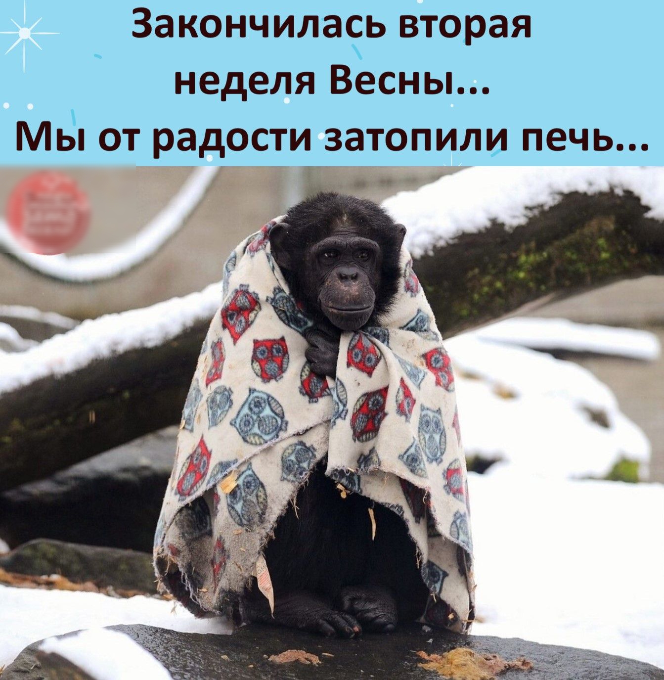 Закончилась вторая неделя Весны Мы от радости затопили печь