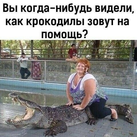 Вы когда нибудь видели как крокодилы зовут на помощь