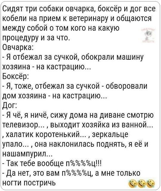 Сидят три собаки овчарка боксёр и дог все кобели на прием к ветеринару и общаются между собой 0 том кого на какую процедуру и за что Овчарка Я отбежал за сучкой обокрали машину хозяина на кастрации Боксер я тоже отбежал аа сучкой обворовали дом хозяина на кастрацию Дог Я чё я ничё сижу дома на диване смотрю телевизор выходит хозяйка из ванной халатик коротенький зеркальце упало она наклонилась под