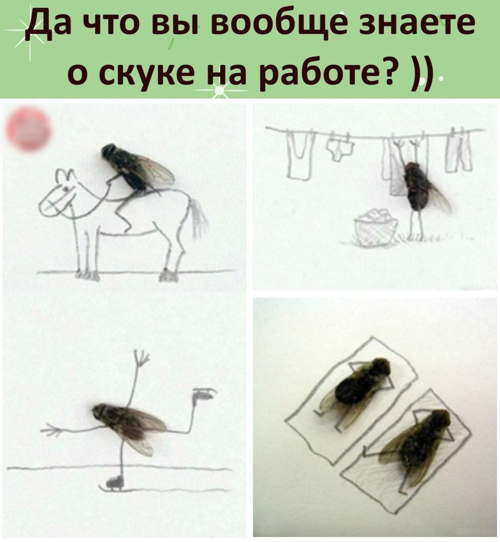 Да что вы вообще знаете о скуке на работе