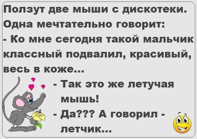 Ползут две мыши с дискотеки Одна мечтательно говорит Ко мне сегодня такой мальчик классный подвалил красивый весь в коже Так это же летучая мышь да А говорил летчик