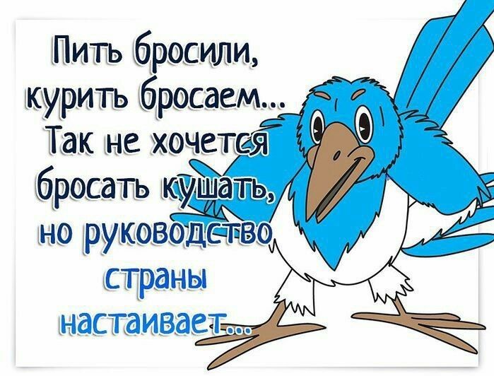 Шіишь рооим курить бросаем так не хочется бросать доёь рукковоцедво ШГ Ы