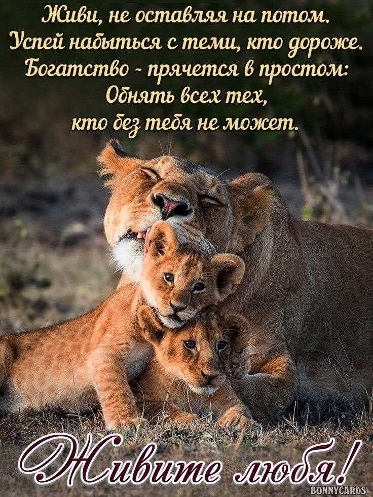 Жшви, не. Оставляя на потом. Успей надыться с теми, кто дороже. Богатство  прячется в простом: обнять всех тех, кто бе3. Тедя не. Может.
