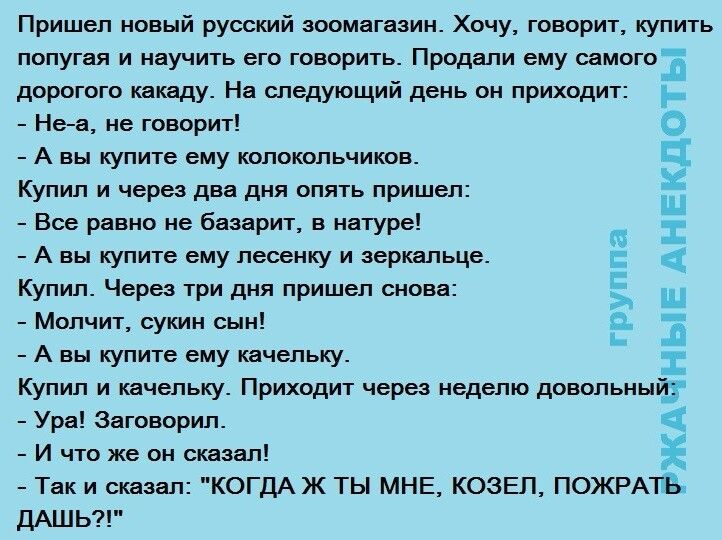Пришел новый русский зоомагазин Хочу говорит купить попугая и научить его говорить Продали ему самого дорогого какаду На следующий день он приходит Не а не говорит А вы купите ему колокольчиков Купил и через два дня опять пришел Все равно не базарит в натуре А вы купите ему песенку и зеркальце Купил Через три дня пришел снова Молчит сукин сын А вы купите ему качельку Купил и качельку Приходит чере
