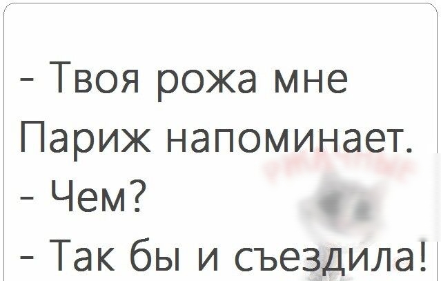 Твоя рожа мне Париж напоминает ЧЕМ Так бы и съездилаЦ