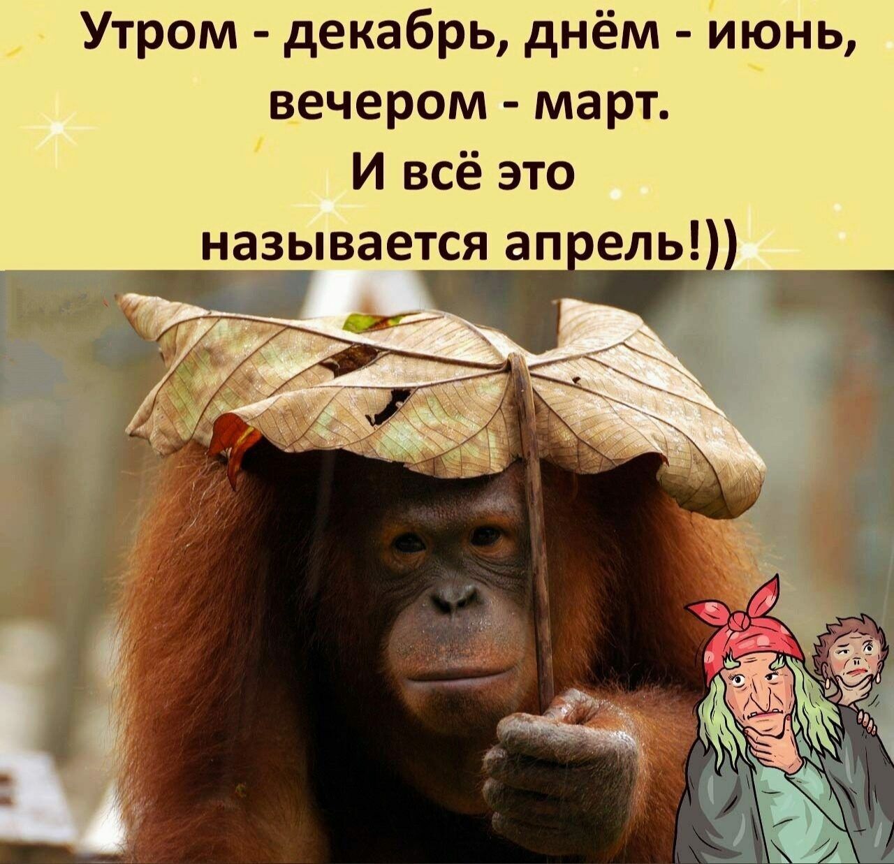 Утром декабрь днём Июнь вечером март И всё это называется ап ель_ _