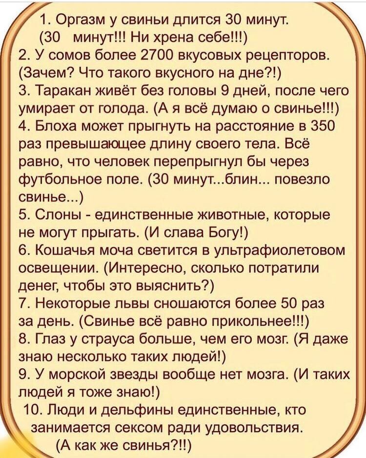 1 Оргазм у свиньи длится 30 минут 30 минут Ни хрена себе 2 У сомов более 2700 вкусовых рецепторов Зачем Что такого вкусного на дне 3 Таракан живёт без головы 9 дней после чего умирает от голода А я всё думаю о свинье 4 Блоха может прыгнуть на расстояние в 350 раз превышающее длину своего тела Всё равно что человек перепрыгнул бы через футбольное поле 30 минутбпин повезло свинье 5 Слоны единственны