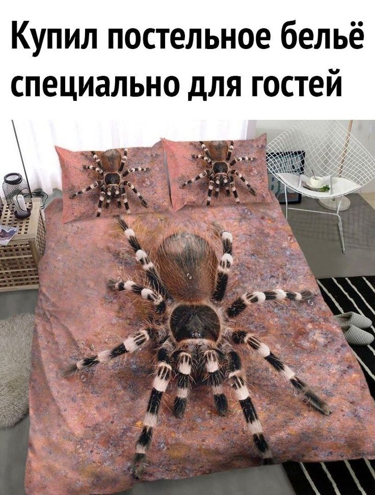 Купил постельное бельё специально для гостей
