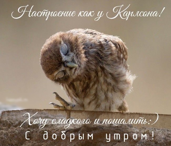 _ добрым цтр